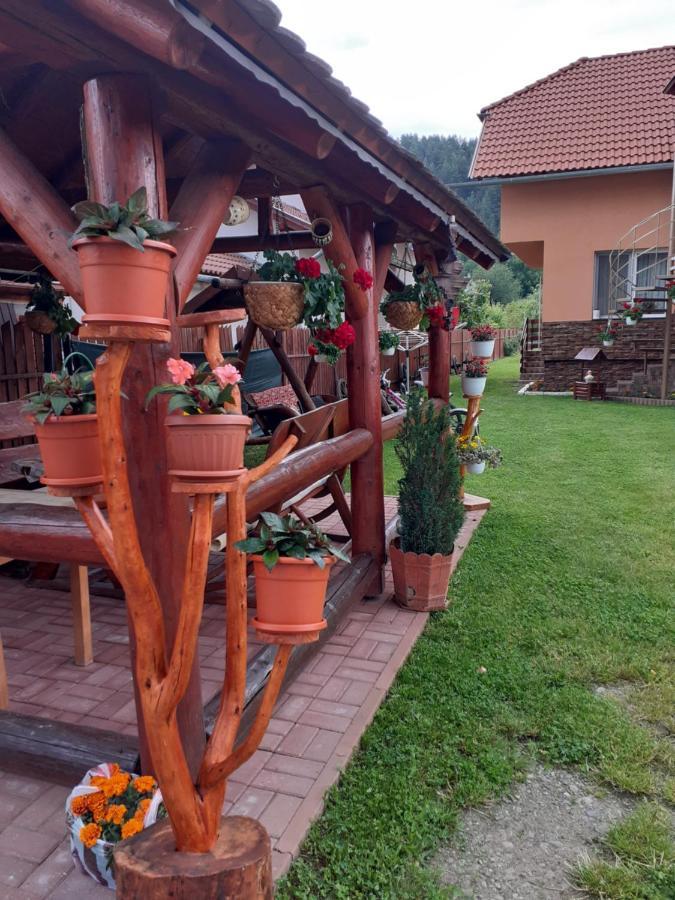 Casa De Oaspeti Cristian Praid Exteriör bild